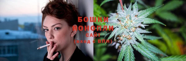 винт Магас