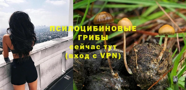 винт Магас