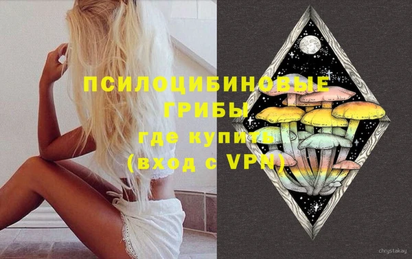 винт Магас