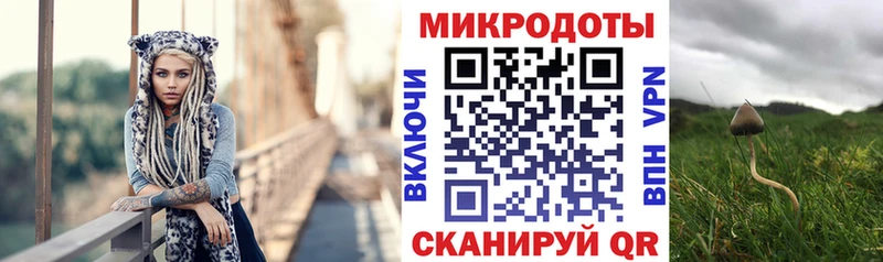 мега вход  Кущёвская  Псилоцибиновые грибы GOLDEN TEACHER 